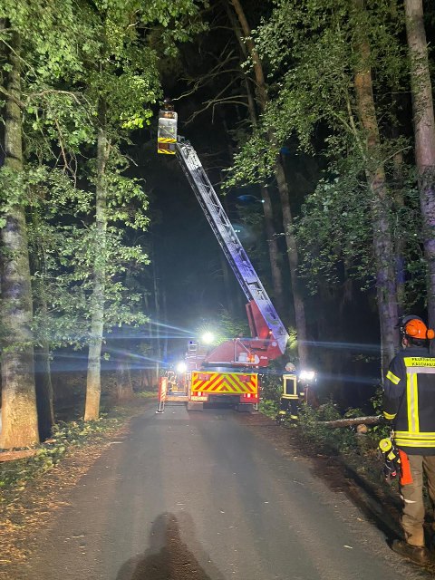 IMG-20200913-WA0023 groß.jpg